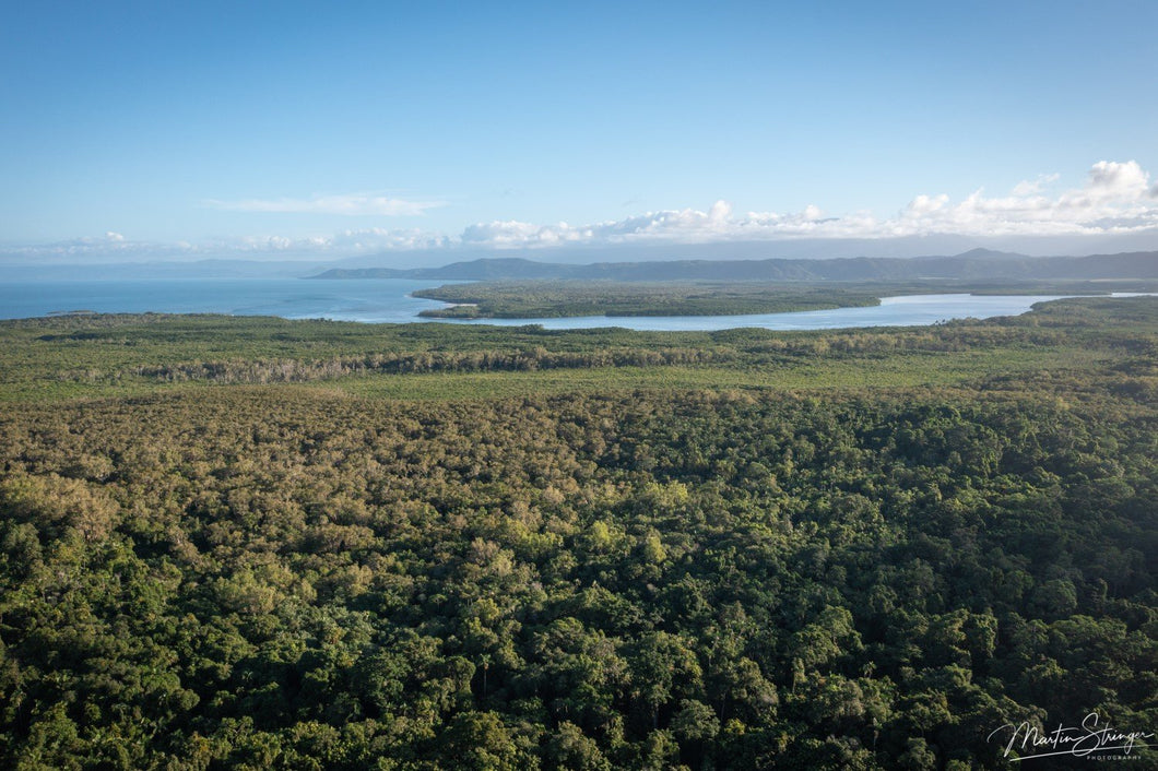 Daintree River