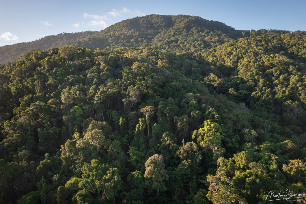 Lot 18 - Daintree
