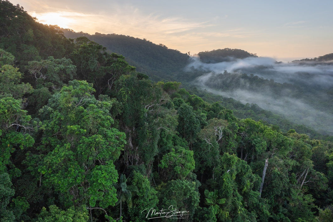 Mist Highway
