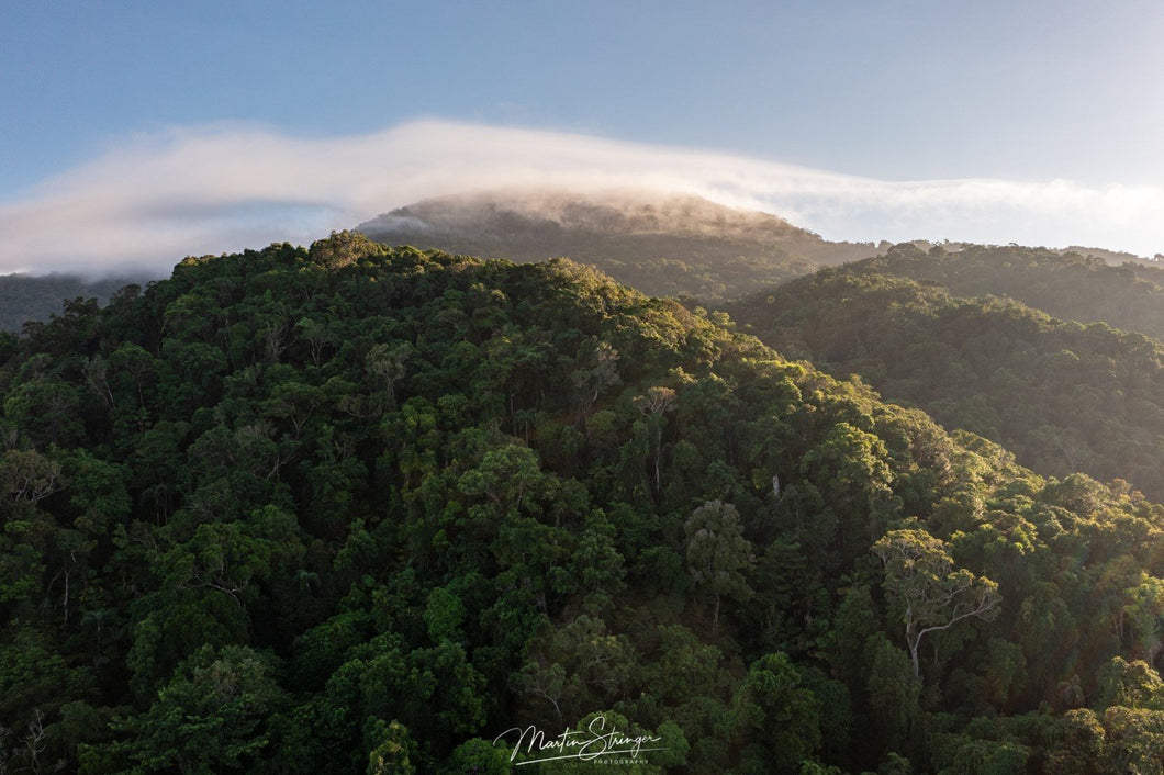 Misty Sunrise and Mountain