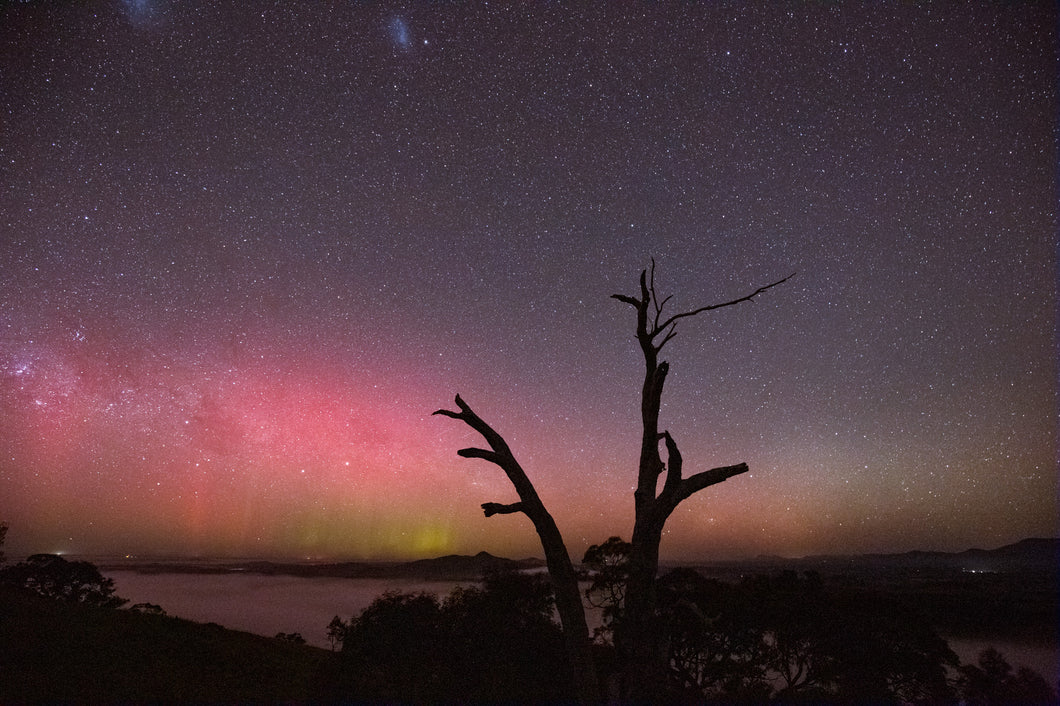 Aurora