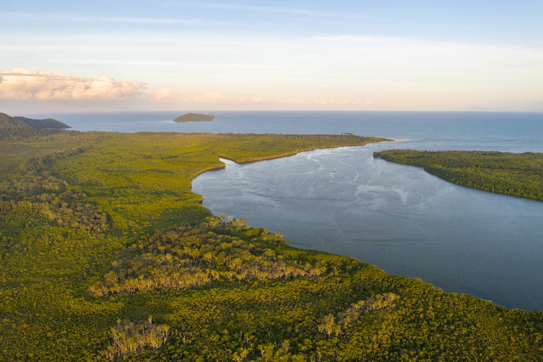 Daintree River