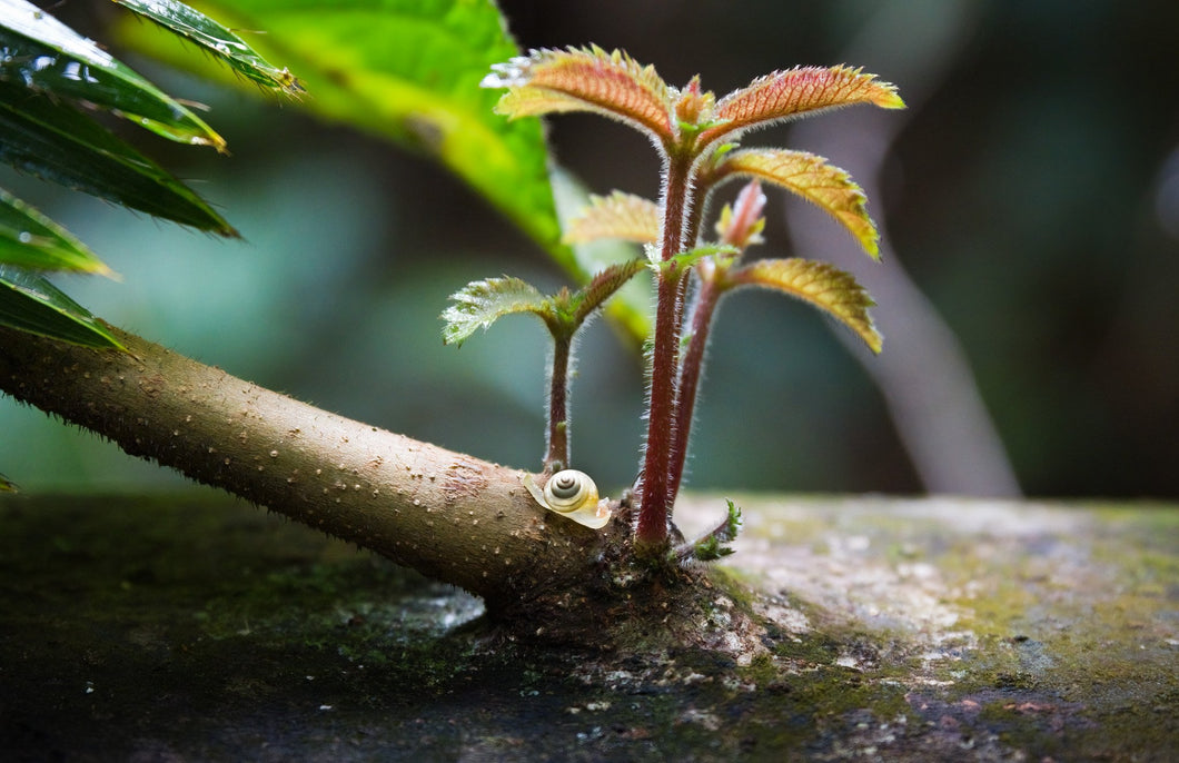 Exploring New Growth