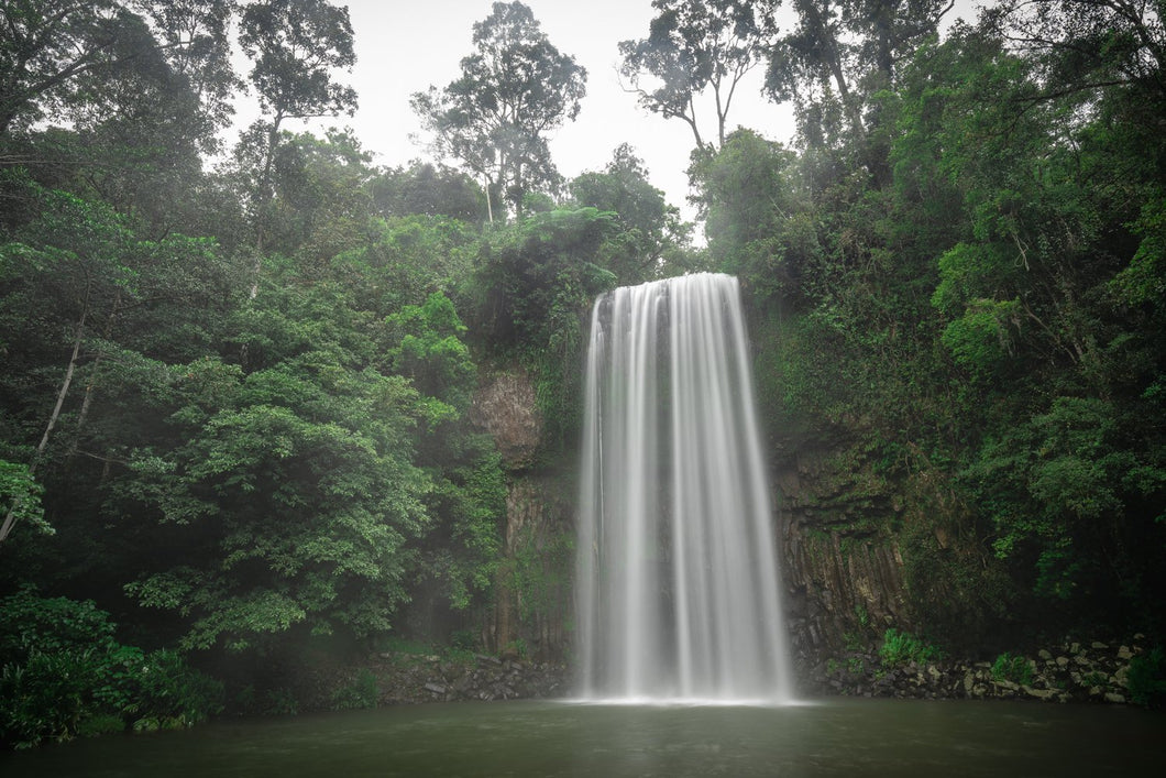 Millaa Millaa Waterfall